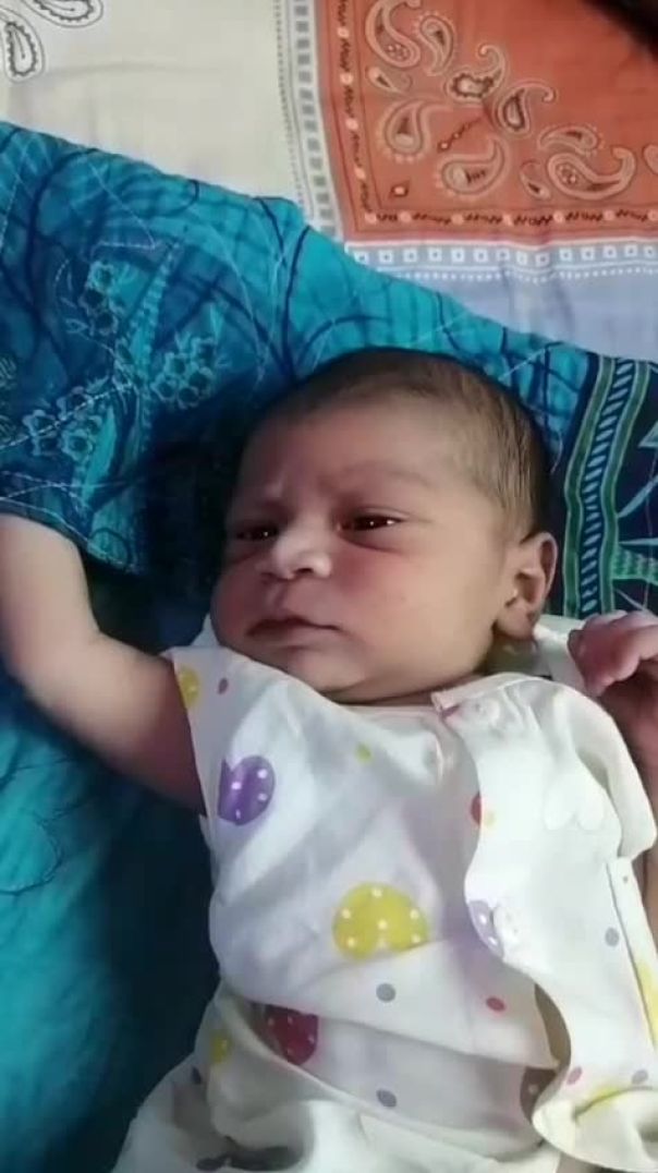 WhatsApp Video 2026-06-29 at 5
